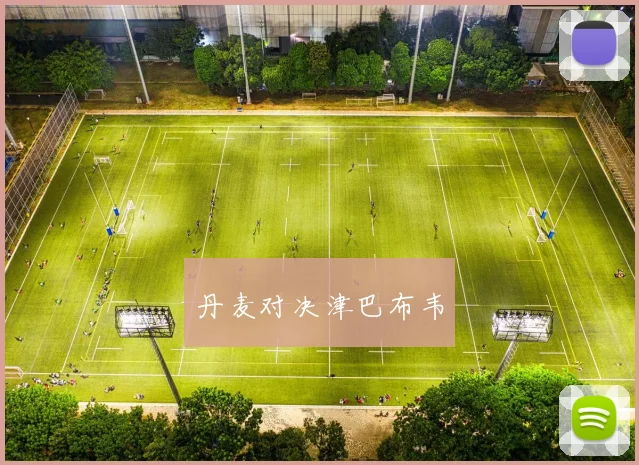 丹麦对决津巴布韦