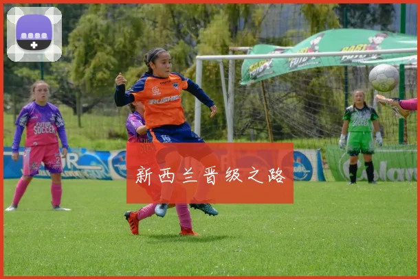 新西兰晋级之路