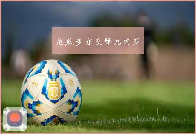 厄瓜多尔交锋几内亚