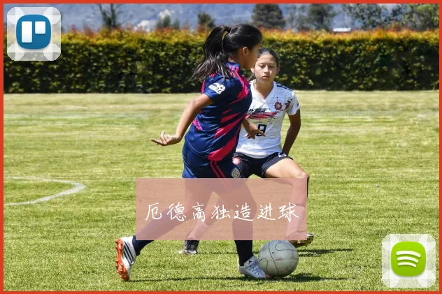 厄德高独造进球